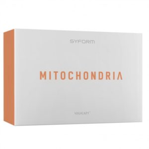 MITOCHONDRIA