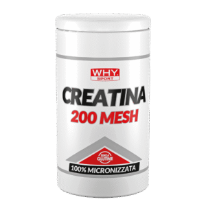 CREATINA 200 MESH